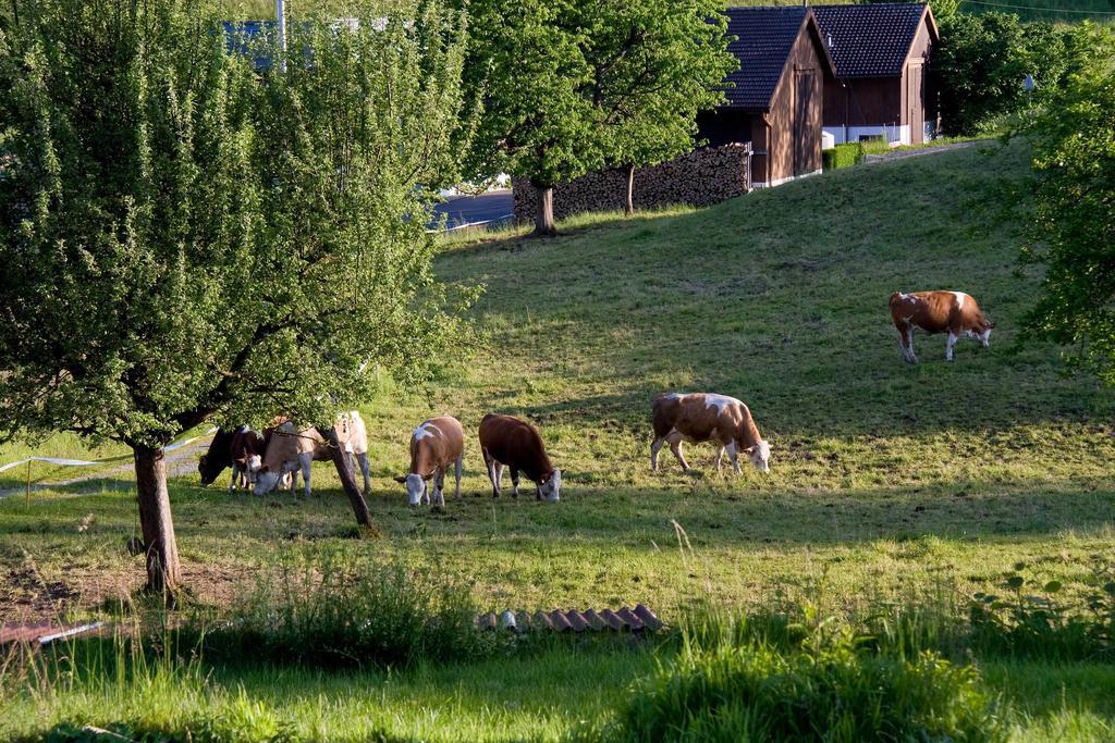 Seehotel Boutique Jaegerhof-Hubertus Faulensee Εξωτερικό φωτογραφία